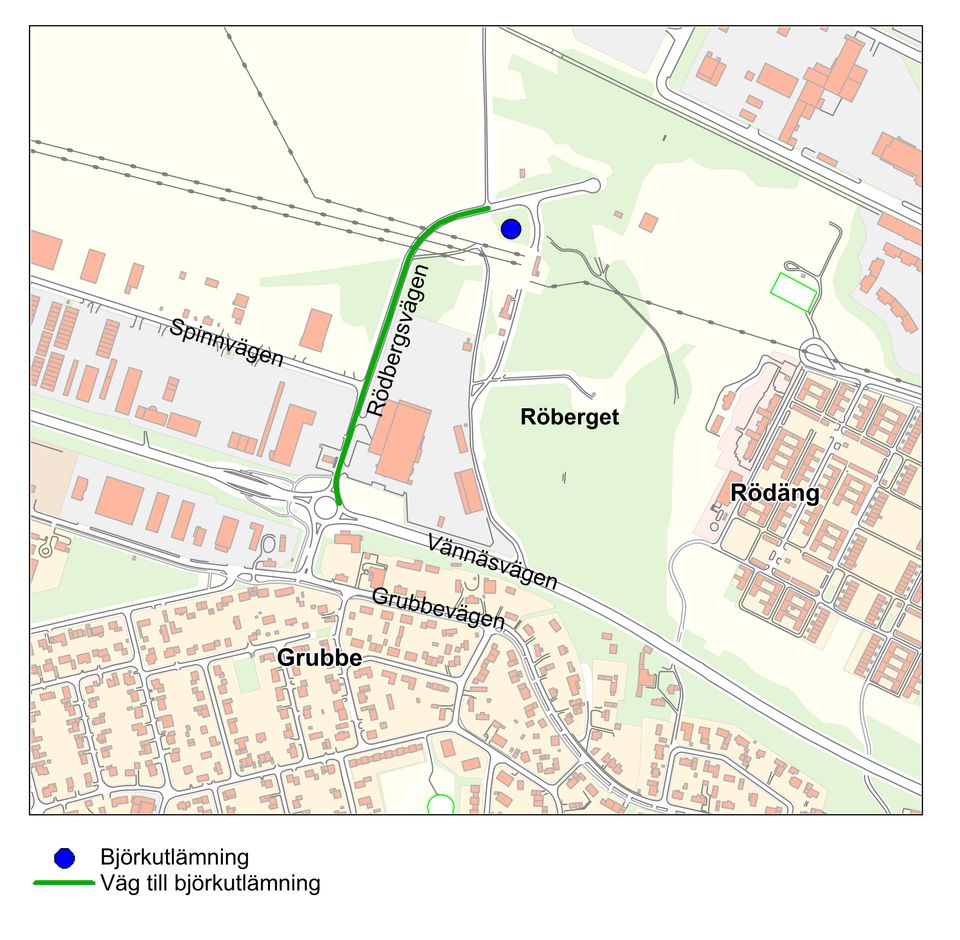 Kommunen delar ut gratis björkplantor Umeå kommun