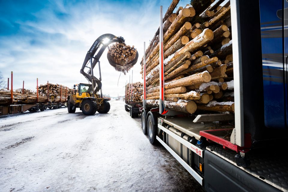 Timmer som lastas