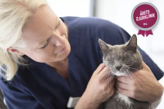 ​Finalister till Årets Djurklinik klara