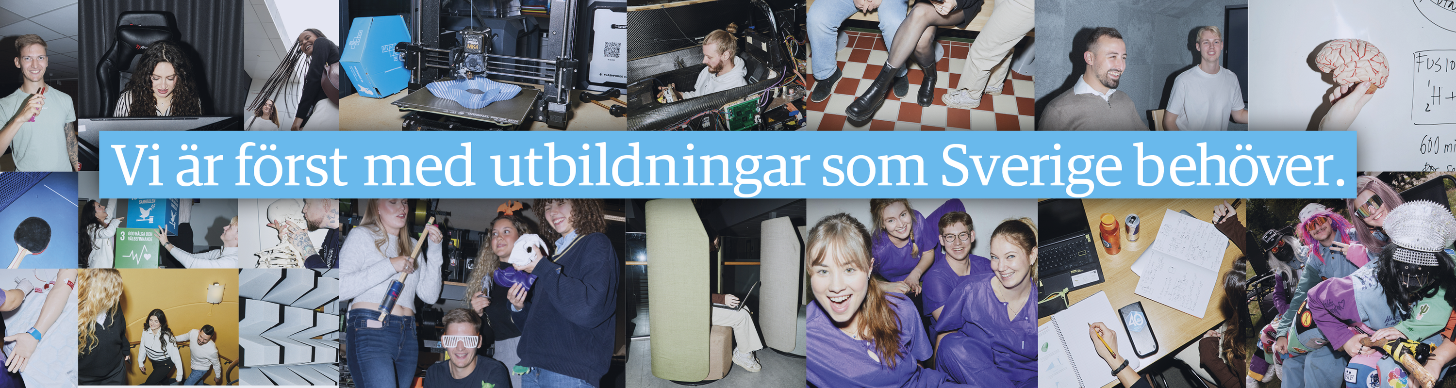 Högskolan i Halmstad