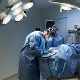 Pandemiåret har gjort personalbristen än tydligare för djursjukvården.