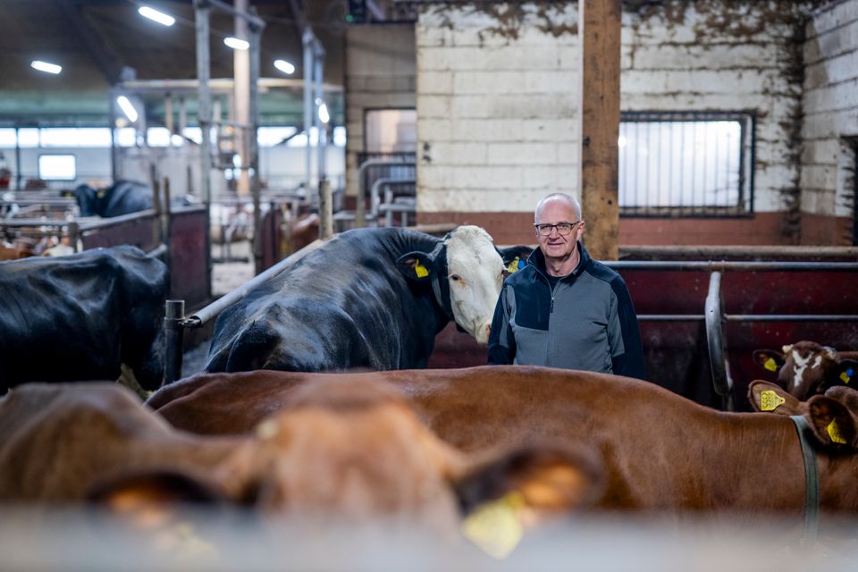 Förbundsordförande Palle Borgström