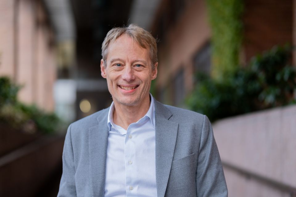 Patrik Karpaty, utredare