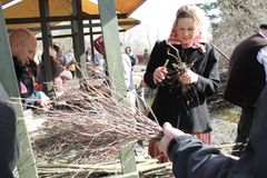 Påskkvaster tillverkas. Brooms in the making. Foto: Maria Johansson/Skansen