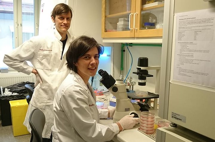 Fredrik Swartling och Geraldine Giraud forskar på elakartade hjärnstamstumörer hos barn - så kallade ponsgliom. Bättre kunskap om hur tumörerna utvecklas kan leda till ny bromsbehandling.