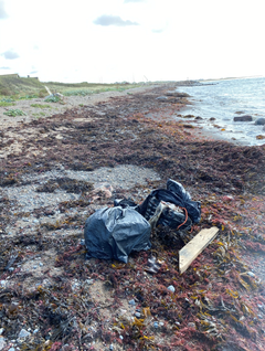 På en strand i Nordvästra Skåne flöt över 69 kilo kokain i land. Foto: Tullverket