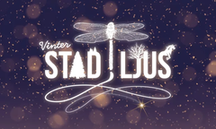 Bild: I morgon ivigs Vinterstad i ljus