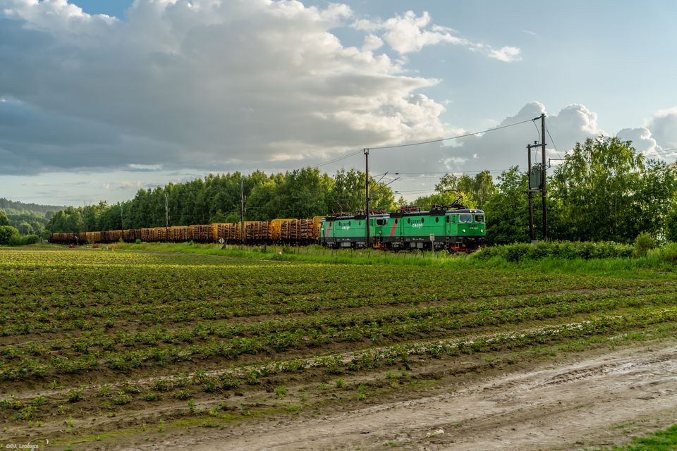 Green Cargos timmertåg