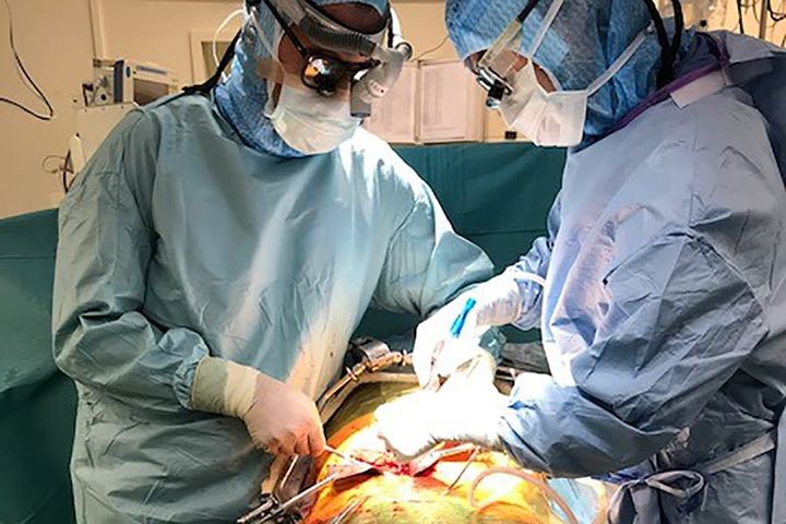 En ny sorts immunterapi som stabiliserar njurfunktionen, och kan leda till att färre svårt njursjuka behöver transplanteras, prövas i en internationell studie där Akademiska sjukhuset koordinerar svensk medverkan.