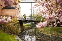 Gotaleden Fotograf: Jonas Ingman