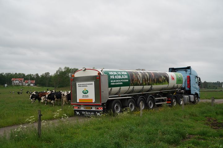I Gävle, Göteborg, Jönköping, Kalmar, Stockholm, Vimmerby, Växjö och Örebro kör nu 15 nya biogasdrivna mjölkbilar. Foto: Arla