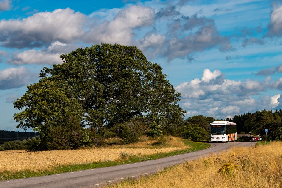 Buss Eksund