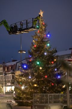 I fredags sattes stjärnan på den största granen på plats av Gator och parkers personal. Foto: Fredrik Larsson/Umeå kommun