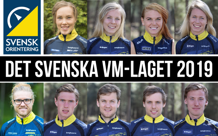 Det svenska VM-laget 2019 (fri bild).