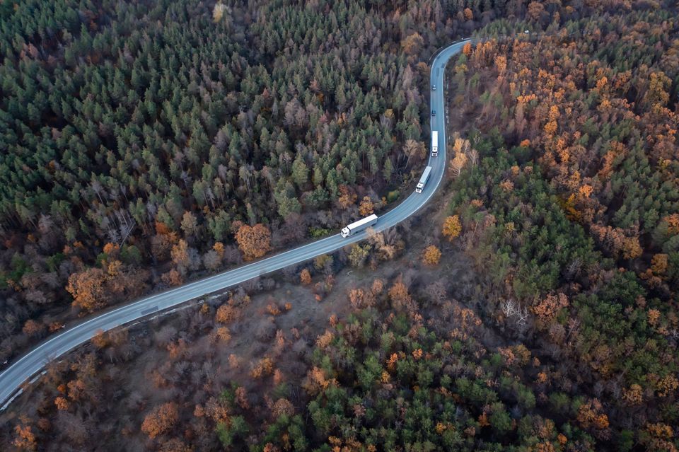 autumn-forest-with-a-curved-road-2021-12-09-21-20-56-utc