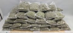 En del av de nästan 72 kilo marijuana som hittades i gömmorna. Foto: Tullverket