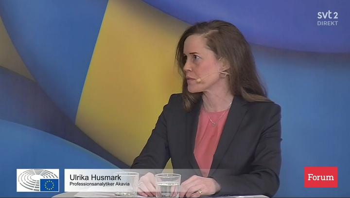 Ulrika Husmark på Akavia deltog i EU-parlamentarikers panelsamtal kring pandemins påverkan på jämställdhet.