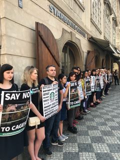 Manifestation i Prag av Open Wing Alliance