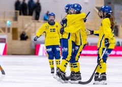 Bilden får publiceras fritt så länge fotografens namn anges. Foto: Gert Holmér