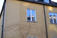 Fotograf: Alexandra de León