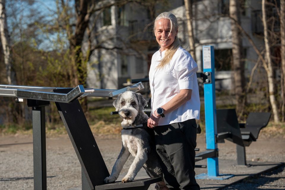 SKKs generalsekreterare Susanne Jidesten med sin hund Ture. Foto: Måns Engelbrektsson.