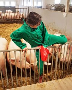 Emelie Petterson har hämtat avföringsprover hos en grisbesättning för att analysera för mag- tarmparasiter