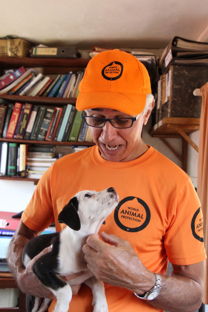 Dr Nick de Souza med gatuhund i Freetown, SIerra Leone