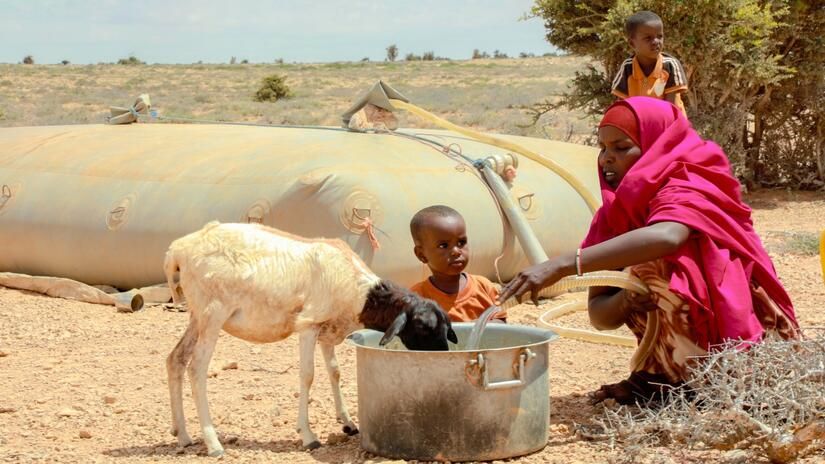 Torkan i Somalia tvingar nomadbefolkningen att söka nya vägar för att hitta bete åt boskapsdjuren,