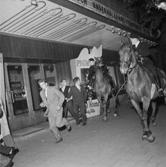 Polisingripande till häst i samband med kravaller vid Berzelii Park och Norrmalmstorg.   1951-1951
Fotofrag: Malmström, Victor. Aftonbladet
Bildnummer: 
Stadsmuseet i Stockholm