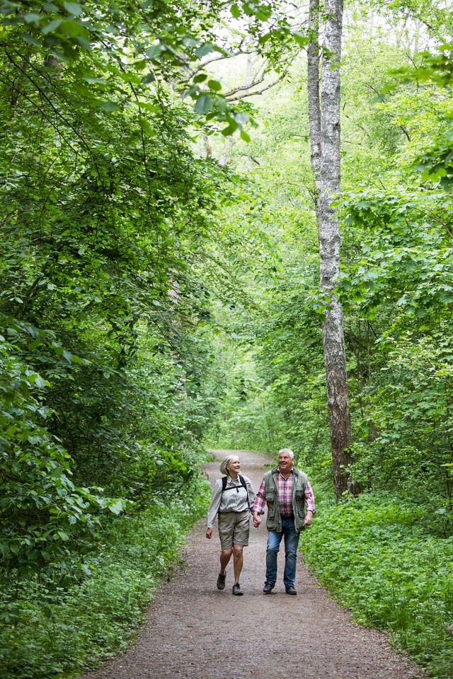 Steningedalen i Märsta, Sigtuna kommun
