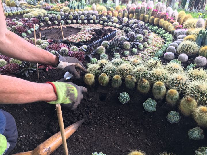 Foto: Norrköpings kommun