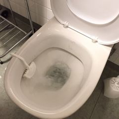 Ett projekt för rening av läkemedelsrester på Akademiska sjukhuset får pris för Årets hållbarbara sjukvårdsinnovation. Metoden innebär att enzymer frigörs i vattnet vid varje spolning. Sjukhuset är först i världen att testa metoden i verklig miljö.