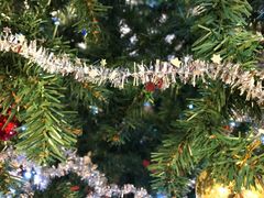 FOTO: TRULLSA/Mostphotos