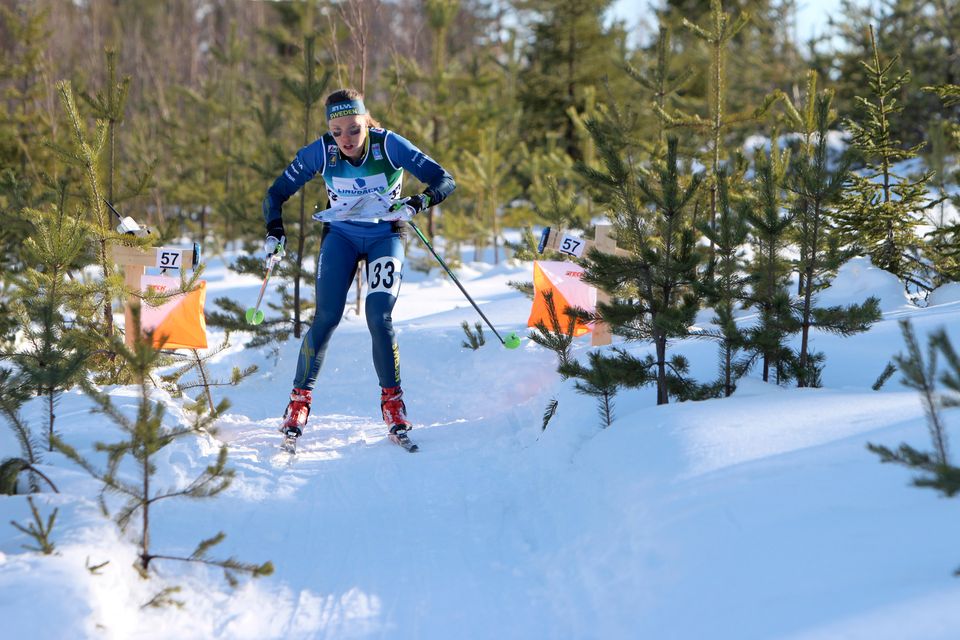 Tove Alexandersson, skidorientering