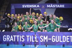 Thorengruppen vann sitt första SM-guld genom tiderna. Foto: Svensk Innebandy
