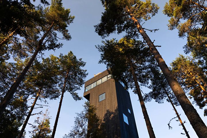 Dalarnas nya utsiktstorn, foto: Klas Sjöberg