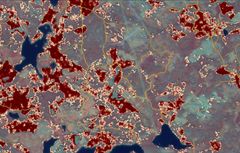 Riskkarta som skogsägare kan ta fram i Mina sidor. Ju mörkare röd färg, desto högre risk för granbarkborreangrepp. Illustration: Skogsstyrelsen