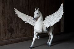 Hästen Pegasus från operan Orlando går under klubban! Foto: Ida Borg