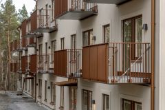 Säterhusen. Foto: Gustav Kaiser