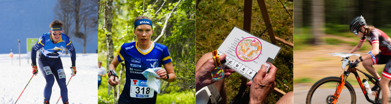 Svenska Orienteringsförbundet