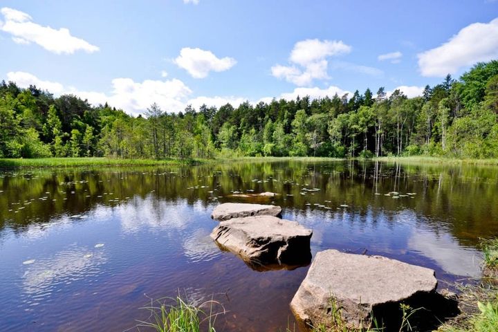 Sandakärret i Sandaskogen är ett av Väsbys populära naturområden. Fler naturområden går att hitta via länken till naturkartan.