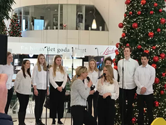 Årets Luciatåg 2017