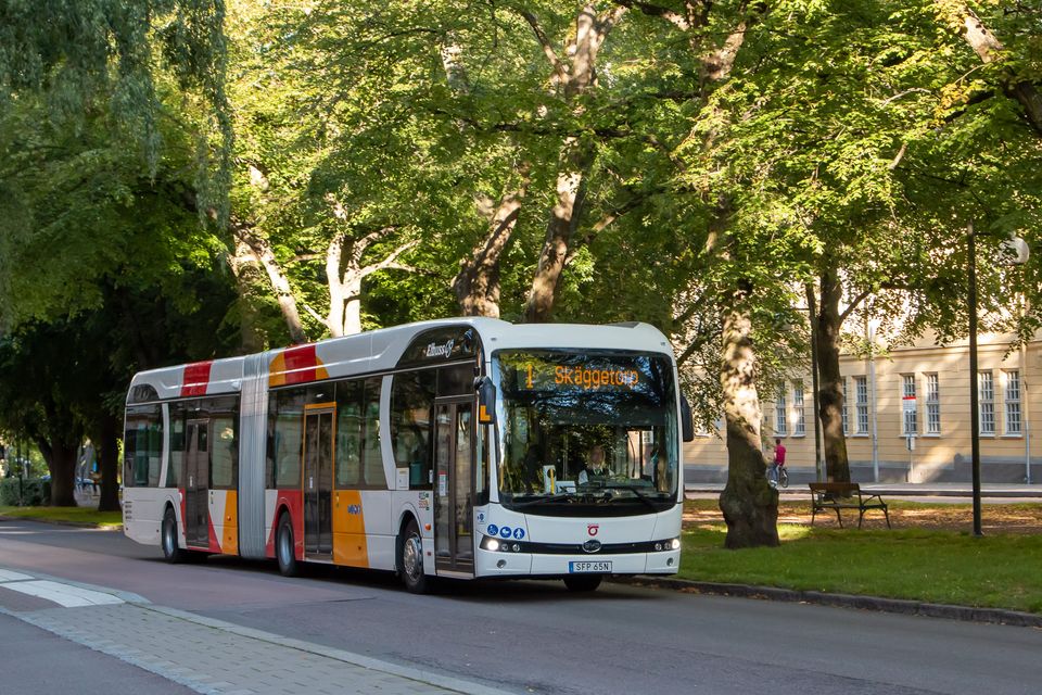 Buss Skäggetorp