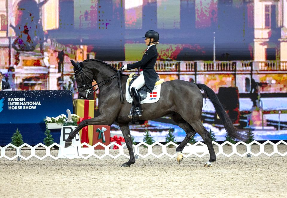 Rikke_Dupont-Grand_Galiano_251130