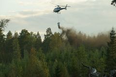 Ask-kulorna kan spridas med helikopter. Foto: Stefan Anderson, Skogsstyrelsen