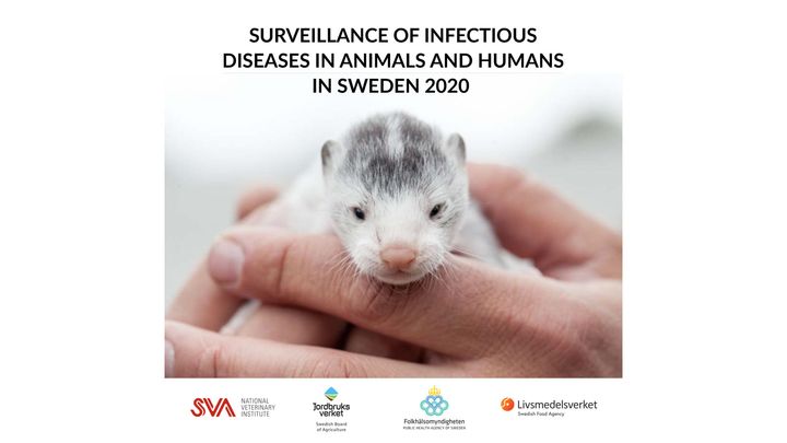 Rapporten presenterar sjukdomsövervakningen på djur och människor i Sverige under 2020.