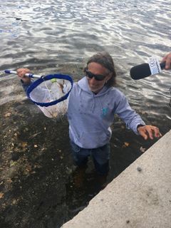 Vid starten för ÅF Offshore Race 2019 blir det jungfrufärd för optimistjollarna från projektet ”Optimist för havet”. Optimistjollarna är byggda av plastskräp och i ett race utanför Skeppsholmen utmanar äventyraren Oskar Kihlborg optimistseglaren Herta Liljegren, 11 år.