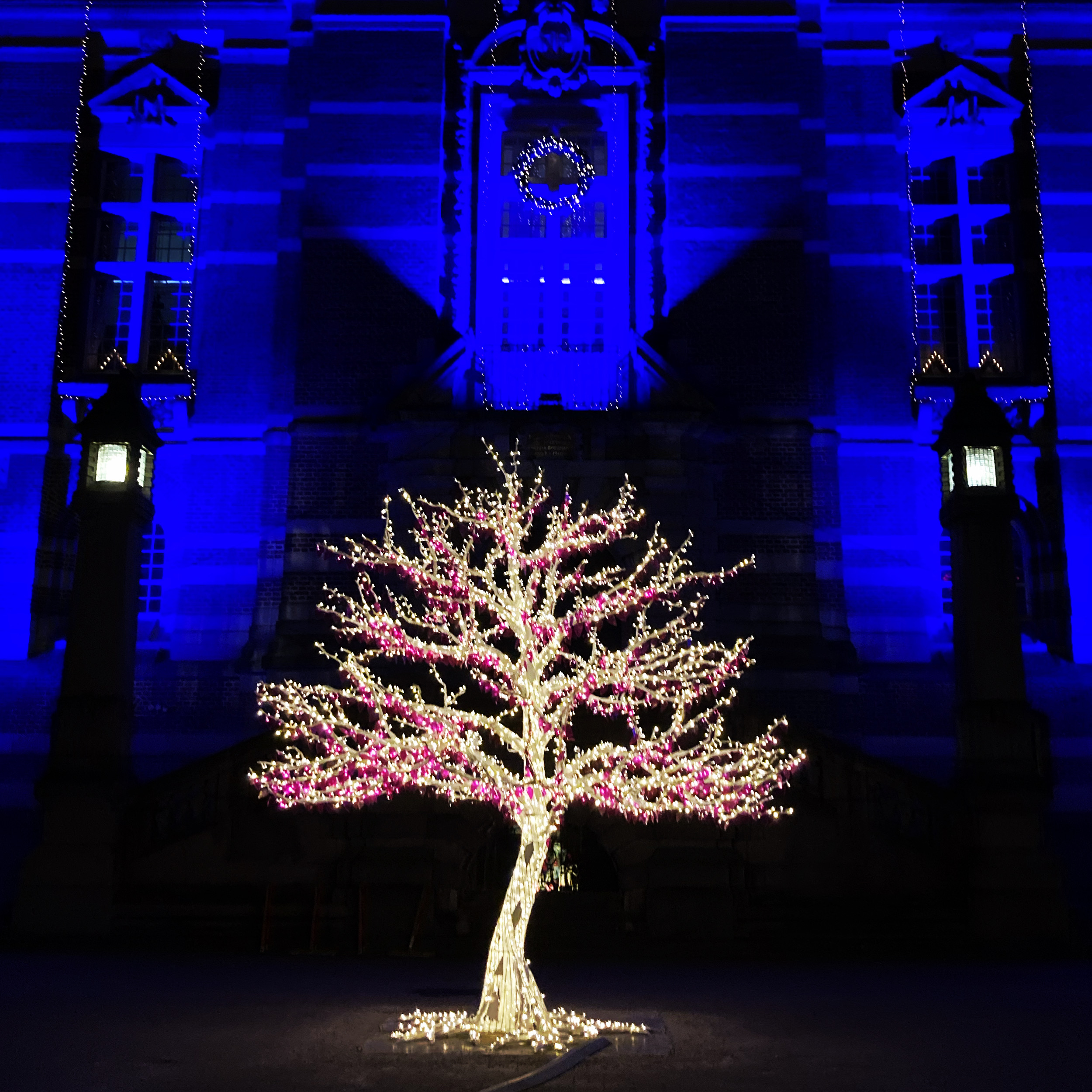 Ny ljusinstallation till Norrköping Light Festival inför nyår | Norrköpings  kommun