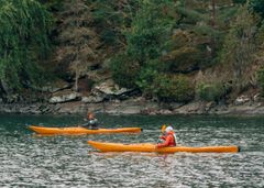 The 72 Hour Cabin Crayfish credit Magnus Klang