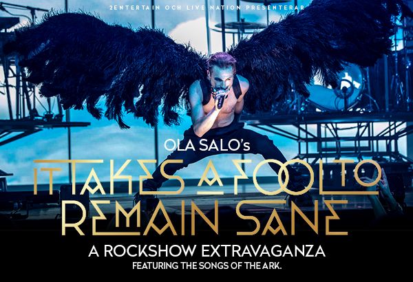 Ola Salo "It takes a fool to remain sane"
